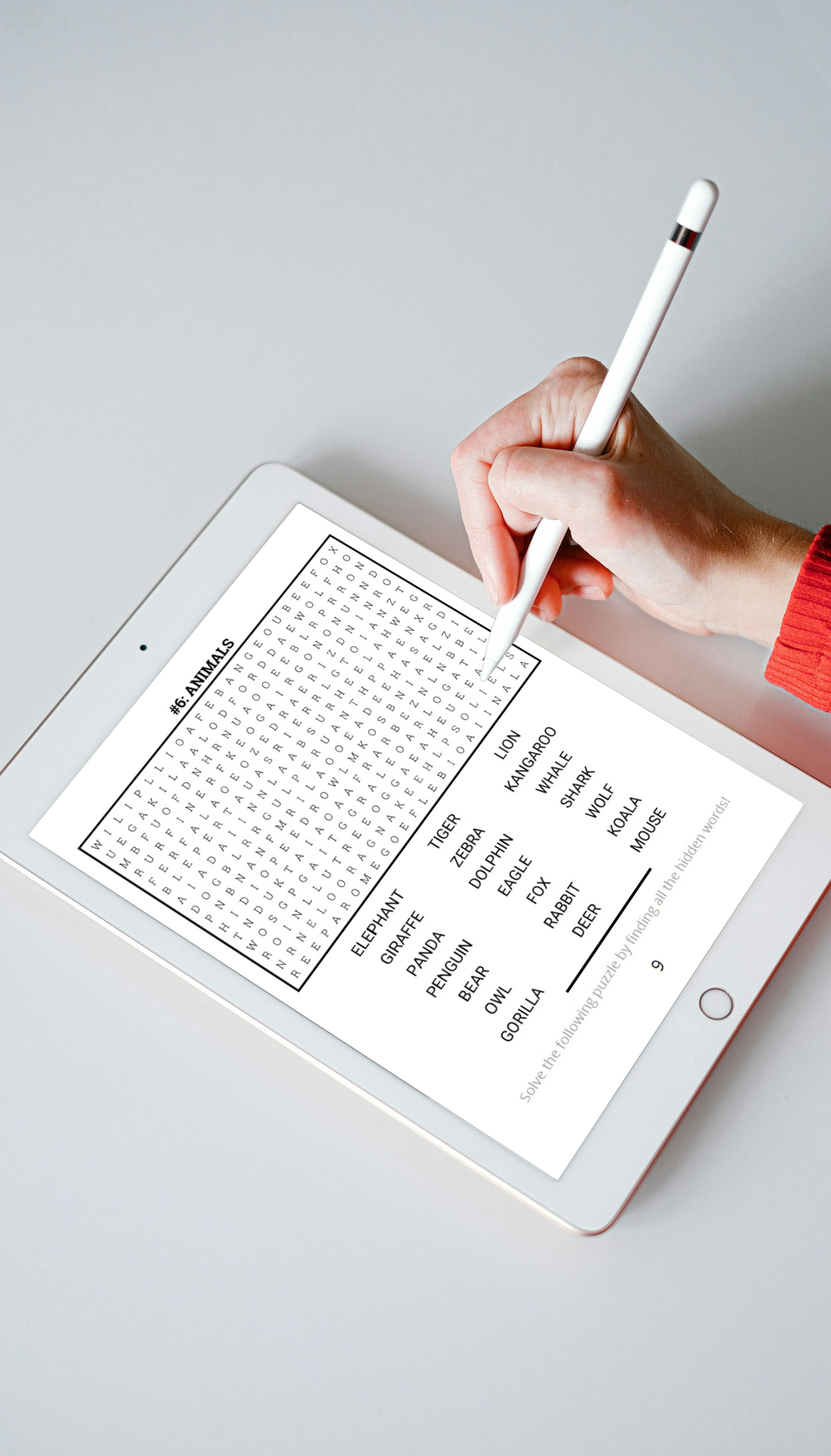 EF&SO Series. Word Search Book for Adults: Large print. PART 1. (Printable PDF)