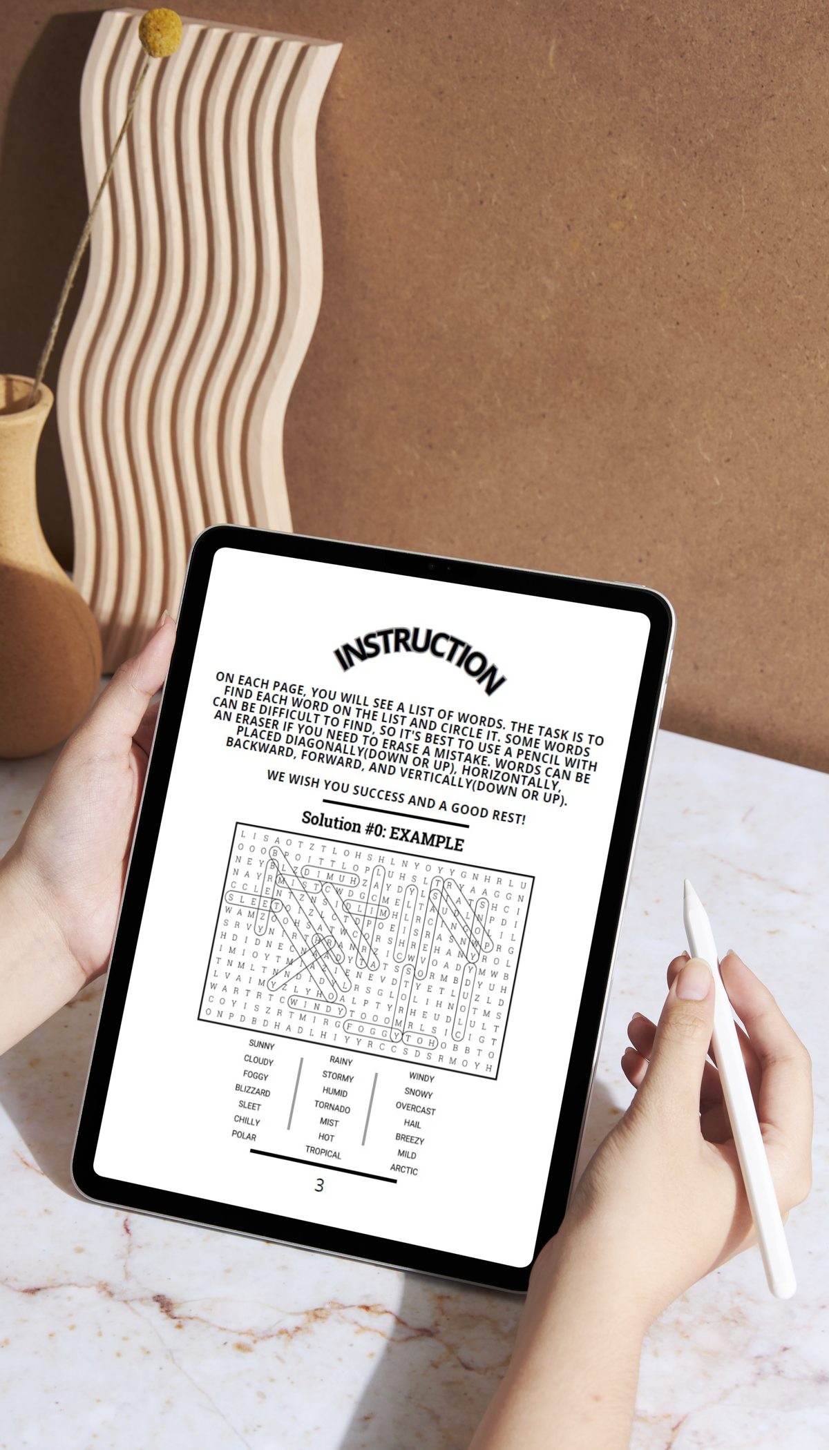 EF&SO Series. Word Search Book for Adults: Large print. PART 1. (Printable PDF)