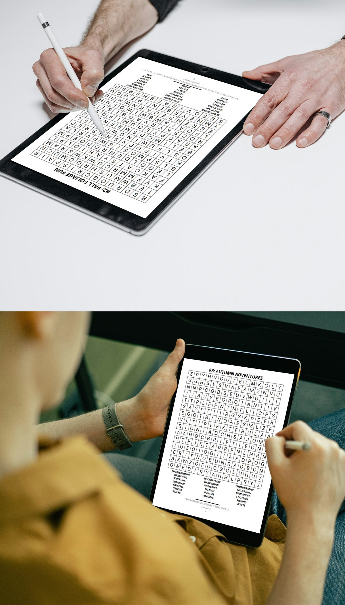 EF&SO Series. Word Search Book for Adults: Large Print. PART 3. (Printable PDF)